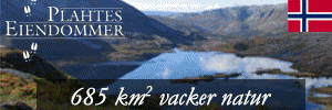 Annons för Plahtes Eiendommer