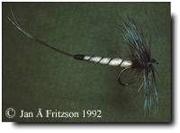 Stor hackelfluga med förlängd bakkropp a' la Tomas Olson.