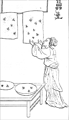 Äldre illustration av silkeframställning