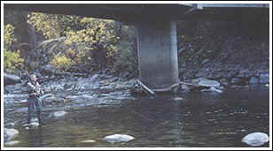 Dan Fallon fly fishing under "Foresta Bridge" Merced River
