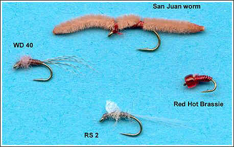 Red Hot Brassie, San Juan Worm, RS 2, WD 40
