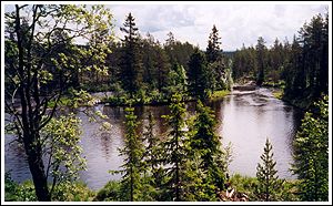 River Grövlan Photo: Mats Sjöstrand 1998 © 