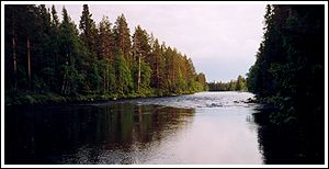 River Storån. Photo: Mats Sjöstrand 1998 © 