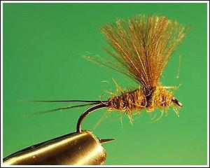 CDC Emerger, tied and photographed by Sean Andrews