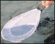 Quick Seine, Insektshåv för flugfiskaren