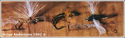Sparkling small mayfly, Midge pupae, Spent Midge, av Niclas Andersson © 2002