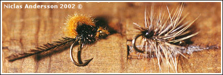 Hatching Chironomidae och Griffiths Gnat, av Niclas Andersson © 2002