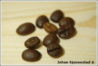 Bild på kaffebönor