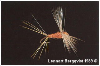imitation av spent spinner, bunden och fotograferad av Lennart Bergqvist 1989