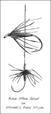 Black Spider Variant og Stewart's Black Spider, av Mogens Espersen 2001