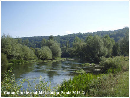 The Ribnik river