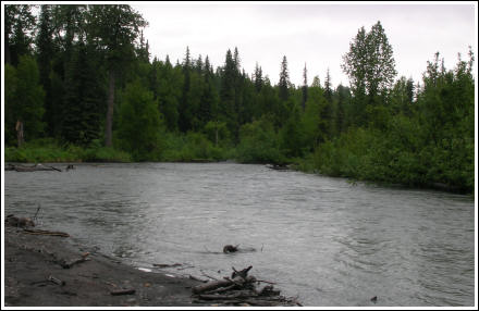Alaskan salmon river