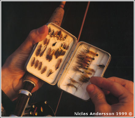 Förtyngda flugor i ask, av Niclas Andersson ©