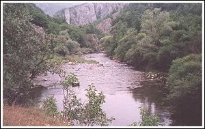 The river Visocica