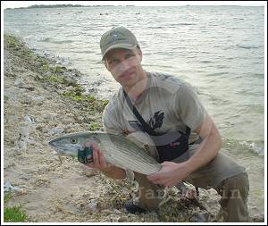 Fin Bonefish