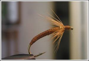 Misty’s Clearwater Mahseer Nymph, by Misty Dhillon © 2007