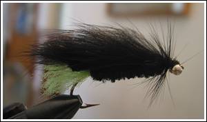 Mahseer Viva Minnow, by Misty Dhillon © 2007