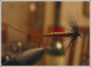 Misty’s Mahseer Spider, by Misty Dhillon © 2007