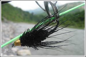 Misty’s Black Mahseer Minnow, by Misty Dhillon © 2007